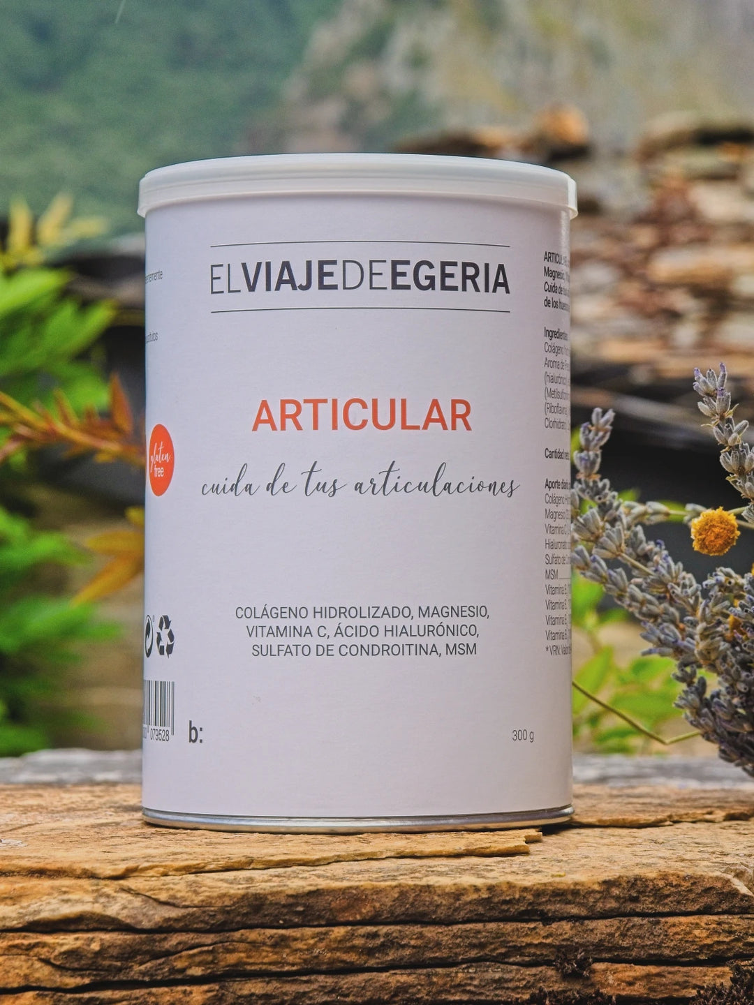 ELVIAJEDEEGERIA ARTICULAR 300GR