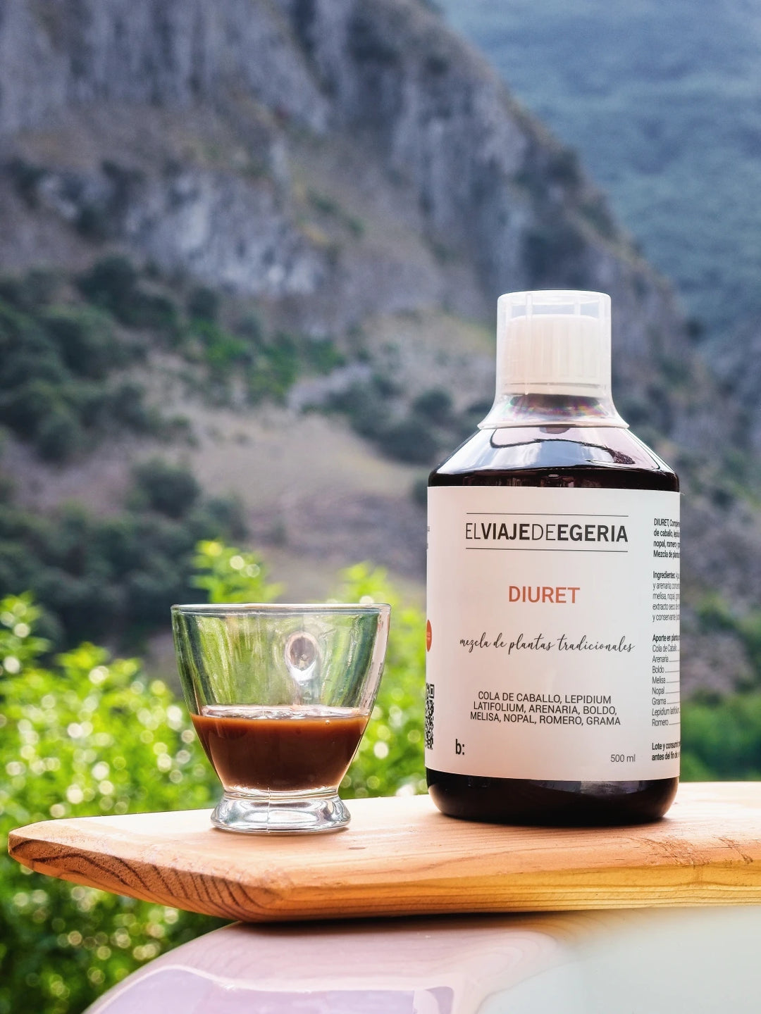 ELVIAJEDEEGERIA DIURETO 500ML
