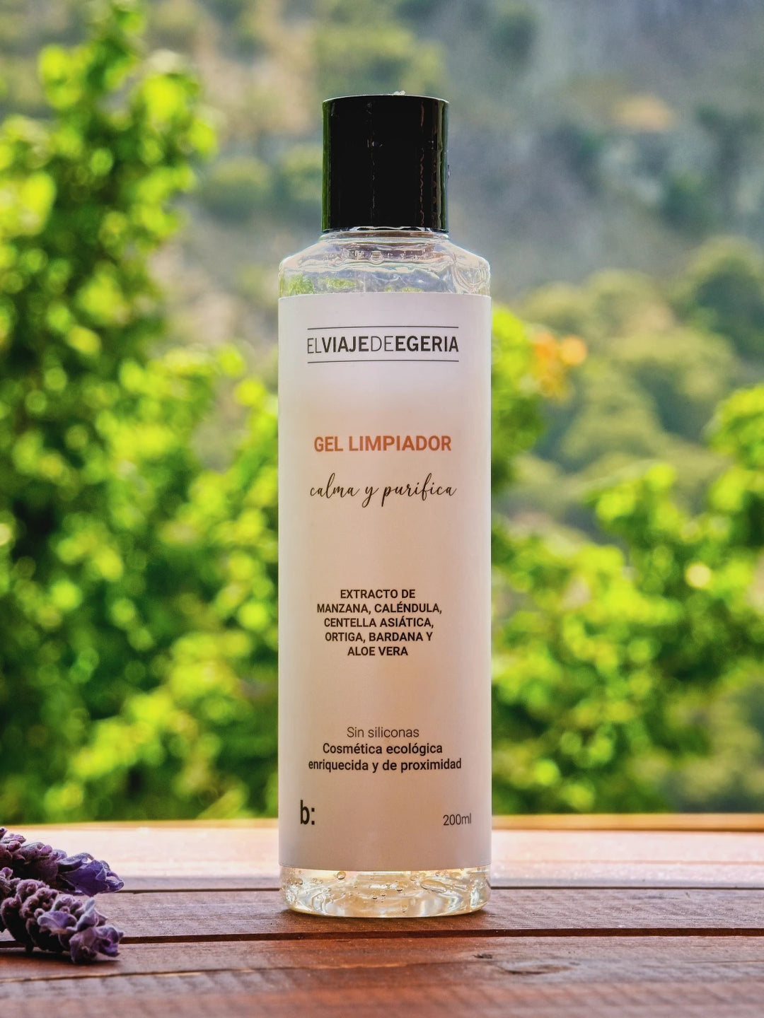 GEL DE LIMPEZA ELVIAJEDEEGERIA