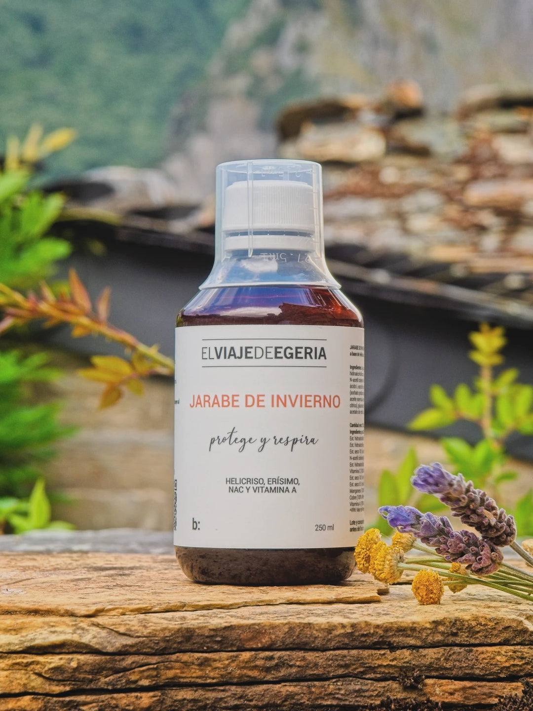 ELVIAJEDEEEGERIA XAROPE DE INVERNO 250 ML