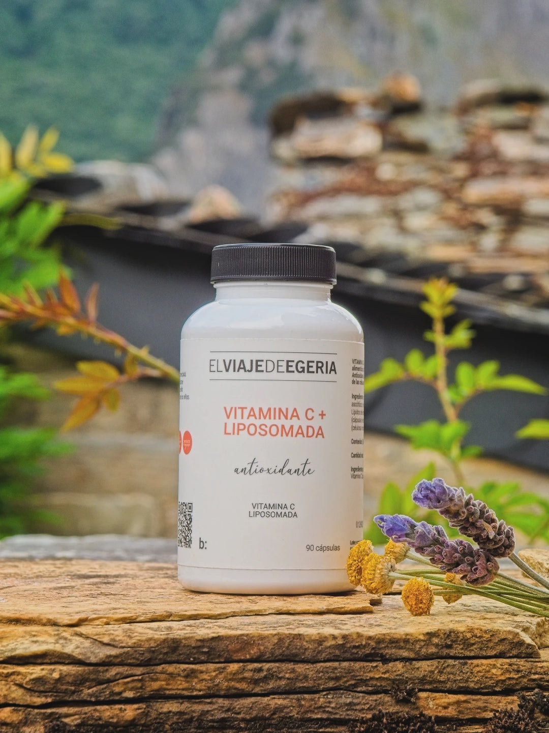 ELVIAJEDEEEGERIA VITAMINA C + LIPOSOMAD 90 CÁPSULAS